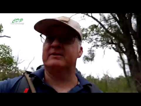 Hiking The Bibbulmun Track Part 1 Kalamunda to Hewett's Hill