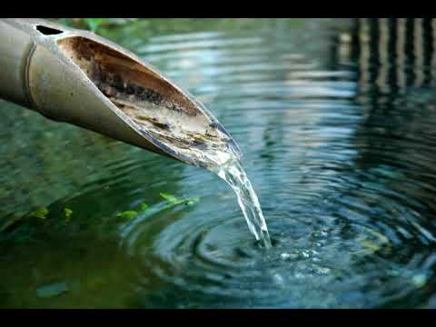 [호흡음악] 5 번 - 바하 플룻 소나타 1번 2악장