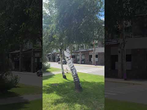 Un poquito del centro de Lago Puelo - Chubut FEB 26