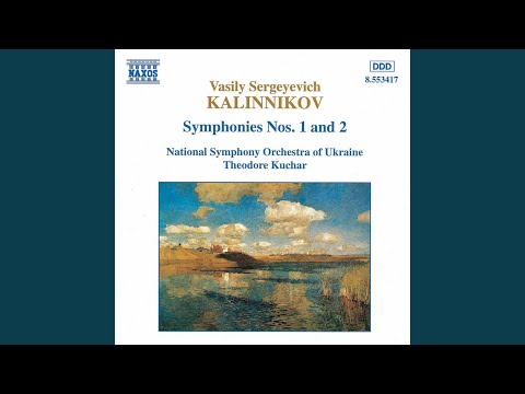 Symphony No. 1 in G Minor: IV. Finale. Allegro moderato