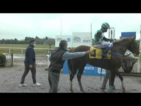 CARRERAS SINT COLONIA 210715 c02 1° ELEVADOR