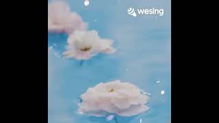 My Life for One more Day..Helloween Cover 🎃