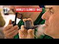 The World S Slowest Race