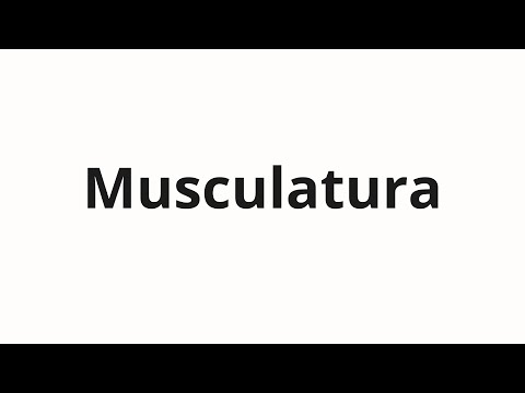 How to pronounce Musculatura
