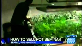 How to sell pot in Washington state