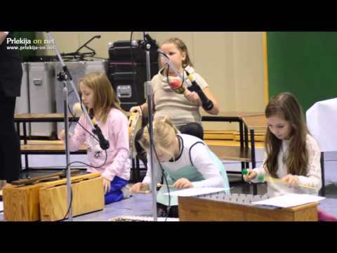 Od generala Maistra, Teritorialne obrambe, MSNZ do Slovenske vojske