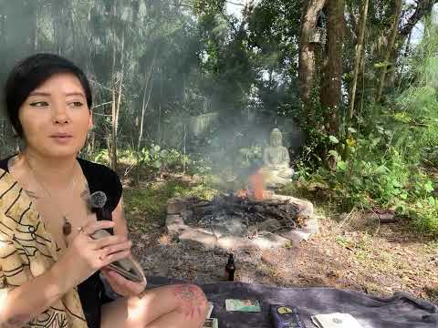 Sagittarius ♐️ 11/11 portal