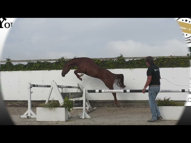 Exceptional Heldenlaan Z
