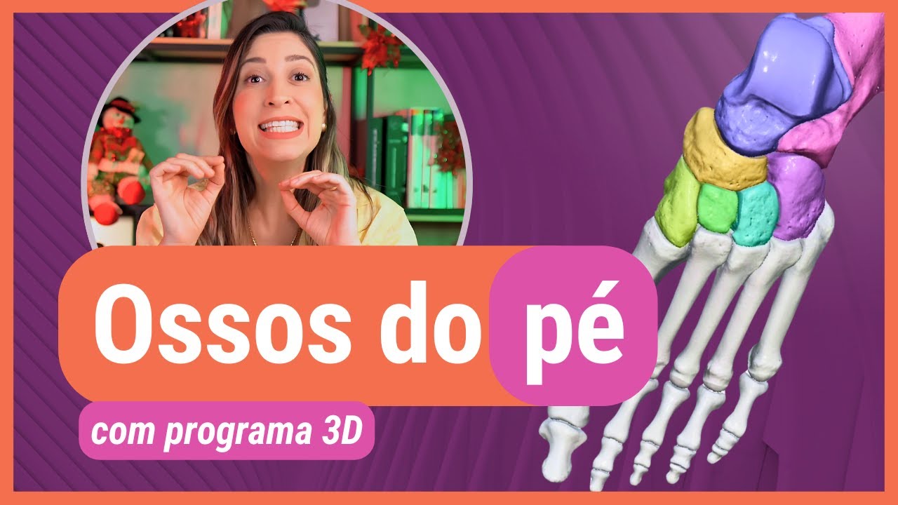 OSSOS DO PÉ! Com programa 3D