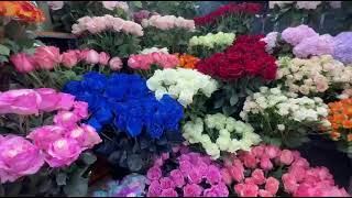 Flower Delivery in Antalya - online flower shop in Belek - Helium Balloons in An