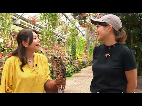 download lagu mp3 mp4 別天地, download lagu 別天地 gratis, unduh video klip Download 別天地 Mp3 dan Mp4 320kbps Gratis