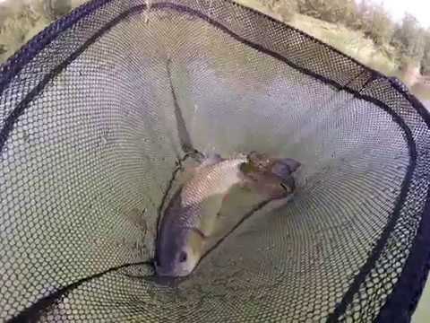 Record personal la clean pe raul Siret