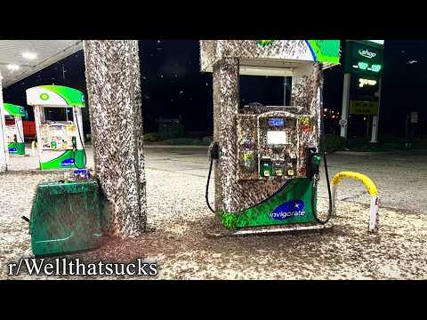 when life fights back