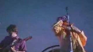 The Flaming Lips - The Spark That Bled