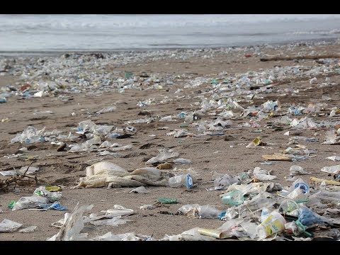 Umwelt Katastrophe - Die Plastikflut – Doku HD