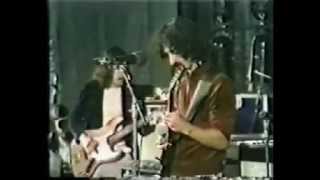 Frank Zappa - Stockholm 1973 08 21 (full concert)