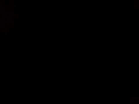 The Magic Flute - Tamino's Aria - Such Loveliness Beyond Compare