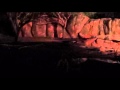 CastleDreamsTravel Kilimanjaro Safaris At Night African Wild Dogs