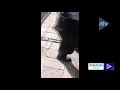 GEMPA 7,4 MAGNITUDO MEMECAH TROTOAR DI MEKSIKO GEMPA 7,4 MAGNITUDO MEMECAH TROTOAR DI MEKSIKO
