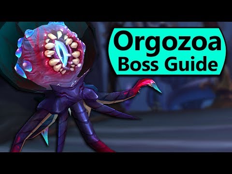 Orgozoa Guide - Normal/Heroic Orgozoa Eternal Palace Boss Guide