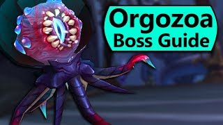 Orgozoa Guide - Normal/Heroic Orgozoa Eternal Palace Boss Guide