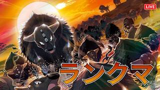 【ポケチャン】ケンタロスに可能性を感じるランクマッチ
