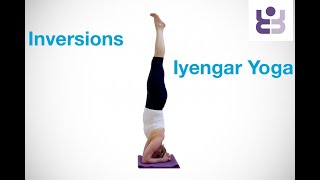 Iyengar Inversion Sequence - For more experienced yoga students