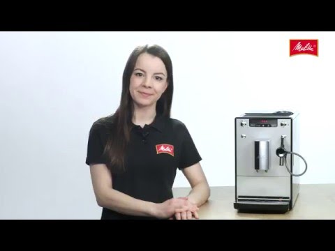 Solo® & Perfect Milk - Highlights