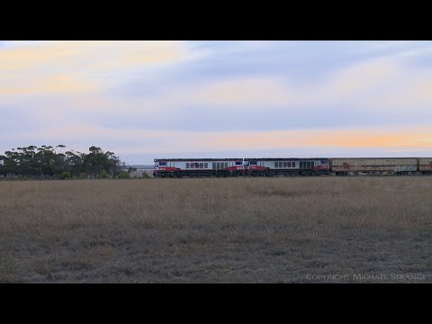 SCT 5AM9 Freight Train (7/3/2019) - PoathTV Australian Railways