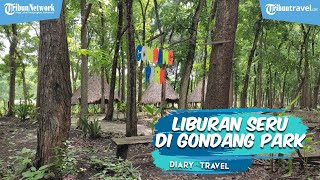 Nikmati Suasana Alam di Gondang Park, Tempat Wisata Baru di Lamongan yang Instagramable