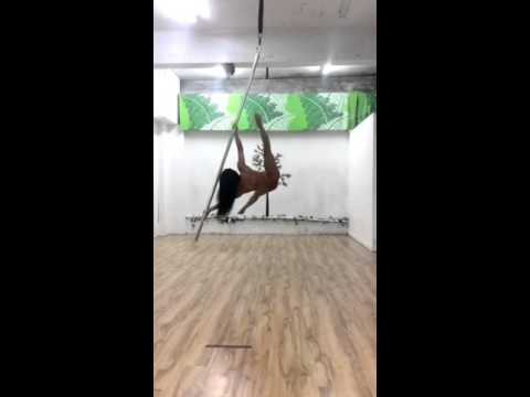 Flying Pole - Lisette Krol -