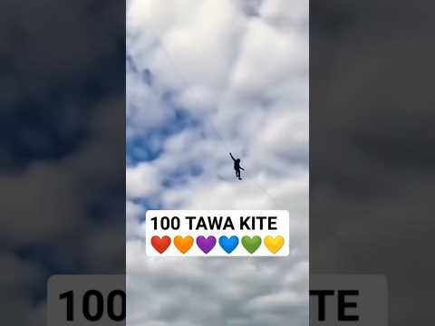 100 tawa kite | man flying with big kite