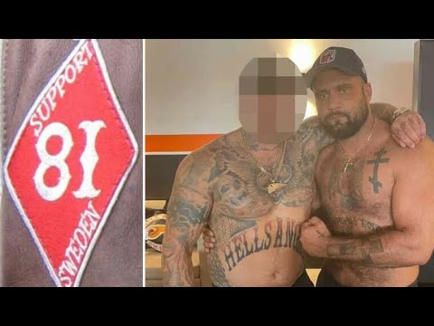 SVENSK MAFFIA:FÖRHÖR MED GOLAREN-DANIJEL REJLANOVIC (DEL2)