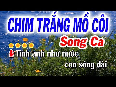 Karaoke Chim Trắng Mồ Côi Song Ca Cha Cha Cha ( Sol Thứ ) Nhạc Sống Tuyết Nhi