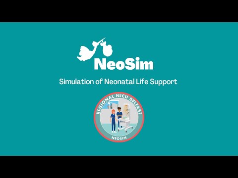 Demonstration of Neonatal Life Support Simulation