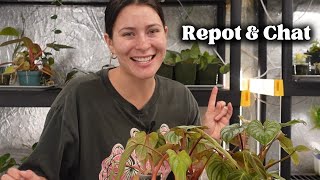 Plant Care Q&A - Baby 3, Fitness, & PLANTS (duh)