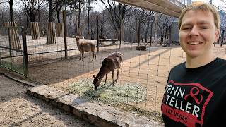 Thumbnail for Finding Deer at Seoul Forest — Hidden Side of Seoul