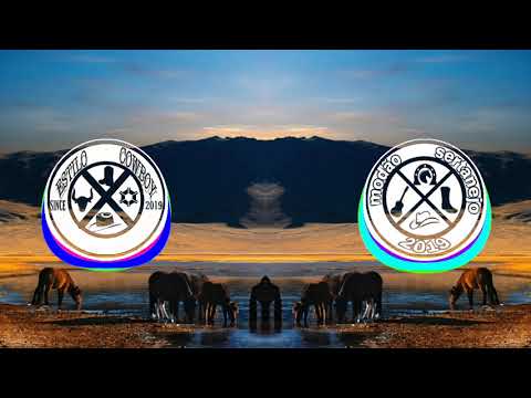 Tião Carreiro & Pardinho - Domador