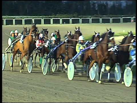 Trotto 04/03/2016 - 7° corsa