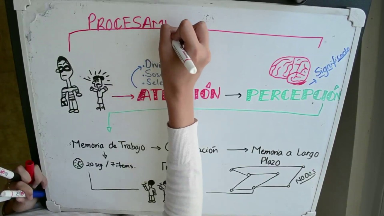 Teorías del procesamiento de información