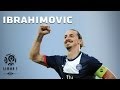 Les 26 buts de Zlatan Ibrahimovic / 2013-2014