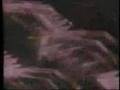 Nobody,  Three Dog Night, Live: At The LA Forum