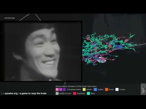 The Pierre Berton Show - Bruce Lee 1971 | The Lost Interview / be water my friend
