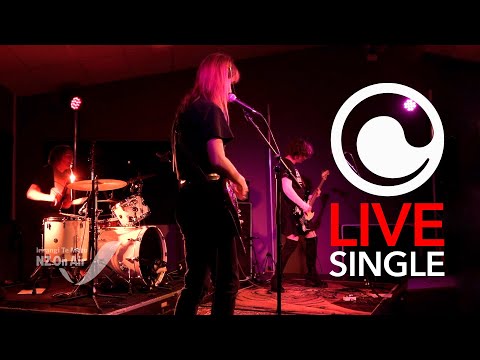 Live Single | UNSANITARY NAPKIN  - TERF War