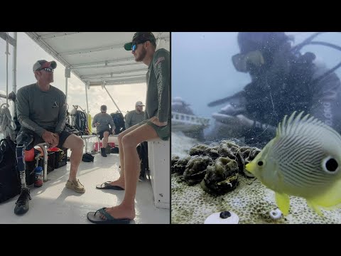Wounded US veterans accept new mission: healing coral reefs | AFP