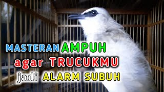 Download lagu MASTERAN TRUCUKAN AGAR RAJIN ROPEL SUBUH, trucukan gacor ropel panjang alarm subuh mp3
