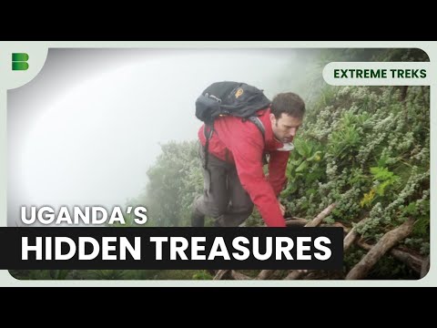 Exploring Uganda's Bwindi Impenetrable National Park | Extreme Treks