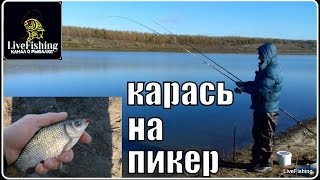 Ссылка