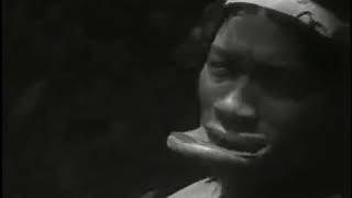 O Índio - Ontem, Hoje e Amanhã (Maureen Bisilliat e Renato Bulcão 1990) - Filme Etnográfico