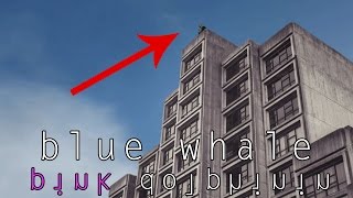 LA BLUE WHALE È POSITIVA